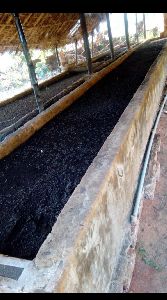 Vermi Compost