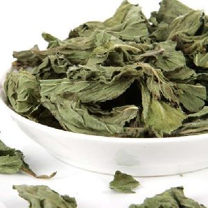 Dehydrated Mint Leaves