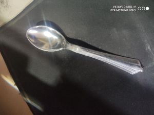 Disposable Plastic Spoons (9773291344)
