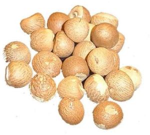 Whole Areca Nuts