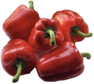 Fresh Red Capsicum