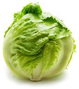 Fresh Lettuce