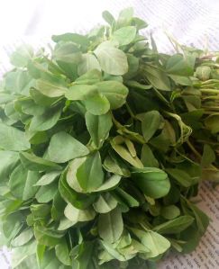 Fresh Fenugreek Leaves