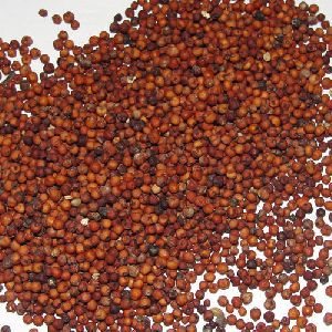 Finger Millet Seeds