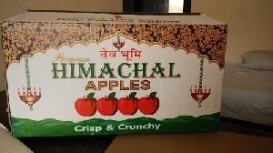 Printed Corrugated Boxes