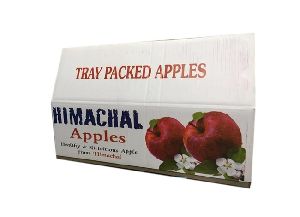 Printed Corrugated Boxes