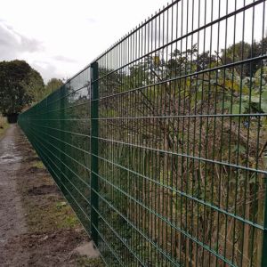 Welded Wire Mesh Fencing