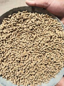 Maize Cattle Feed