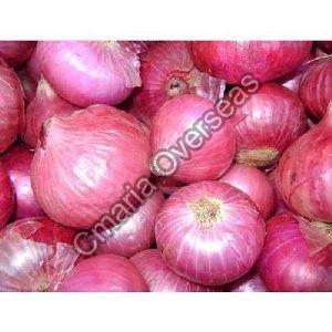 Fresh Pink Onion