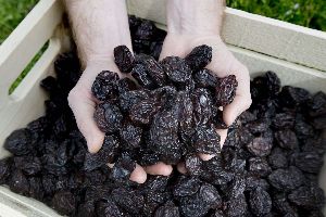 Dried Prunes