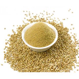 Coriander Powder