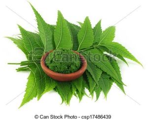 Neem Oil