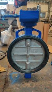 Butterfly Valves