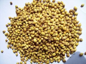 Coriander Seeds