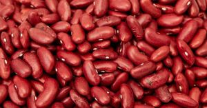 Kidney Beans (Rajma)