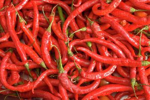 Red Chilli (Lal Mirch)