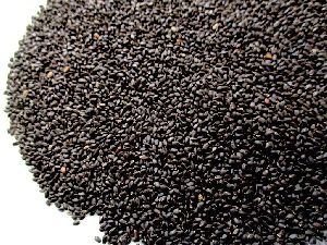 Tukmaria Seeds