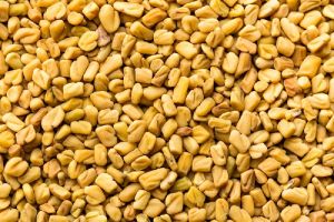 Fenugreek Seed