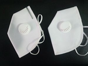 N95 Dust Mask