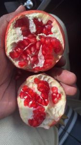 Fresh pomegranate