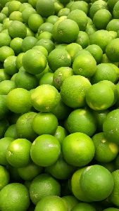 Fresh Sweet Lime