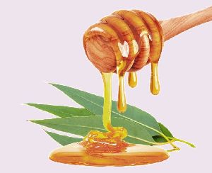 Eucalyptus Honey