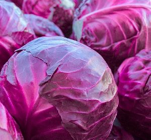 Fresh Purple Cabbage