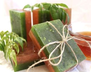 Neem and Honey Soap