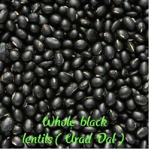 Whole Black Lentils