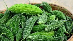 Fresh Natural Bitter Gourd