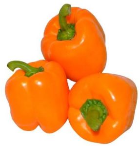 Fresh Orange Capsicum