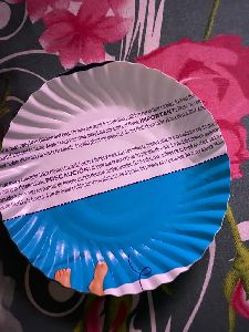 Disposable Paper Plates 7 Inches