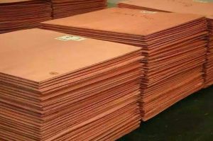 Copper Cathodes