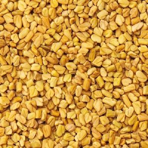 Fenugreek