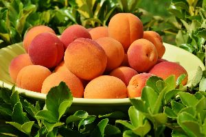 Apricots