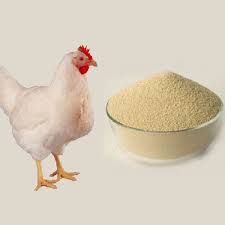 Poultry Feed Supplement