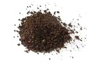 Roasted Chicory Grains