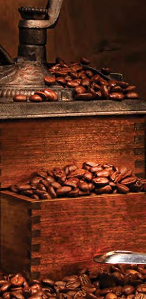 Agglomerated Instant Coffee