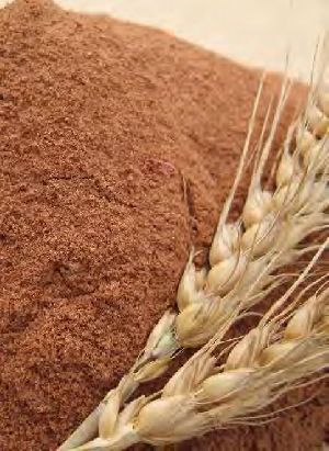 Malt Extract Powder