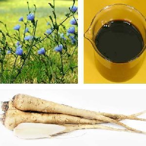 Roasted Chicory Extract