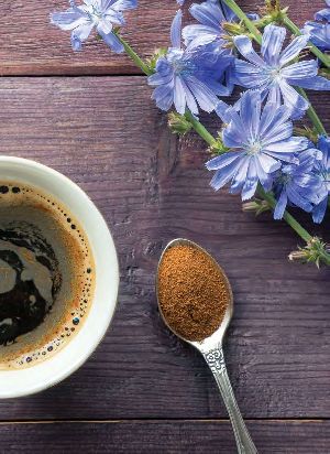Chicory Root Powder