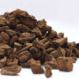 Roasted Chicory Cubes