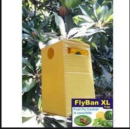 Flyban Insect Lure