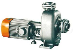 Dewatering Monoblock Pump