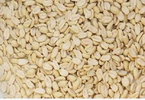 Groundnut Kernels