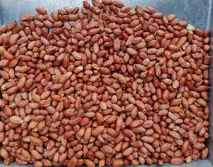 Groundnut Kernels