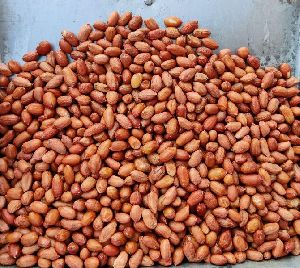 Groundnut Kernels