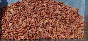 Groundnut Kernels
