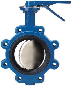 Cast Iron Butterfly Valve