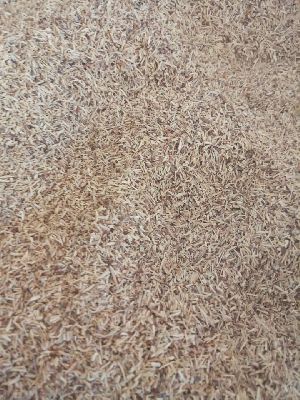 Sarsaparilla T Cut Roots